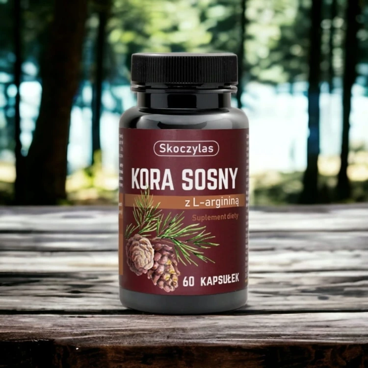Kora Sosny z L-Argininą 60 kapsułek Suplement diety SKOCZYLAS