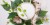 172412acf0d7828458b11244babb8511